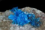 Bright Blue Cavansite Crystals on Stilbite - India #33695-1